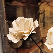 Load image into Gallery viewer, Paper Rose - Hand Rolled Paper Rose - Cream - Flowers by Laurzy
