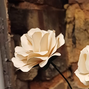 Paper Rose - Hand Rolled Paper Rose - Cream - Flowers by Laurzy