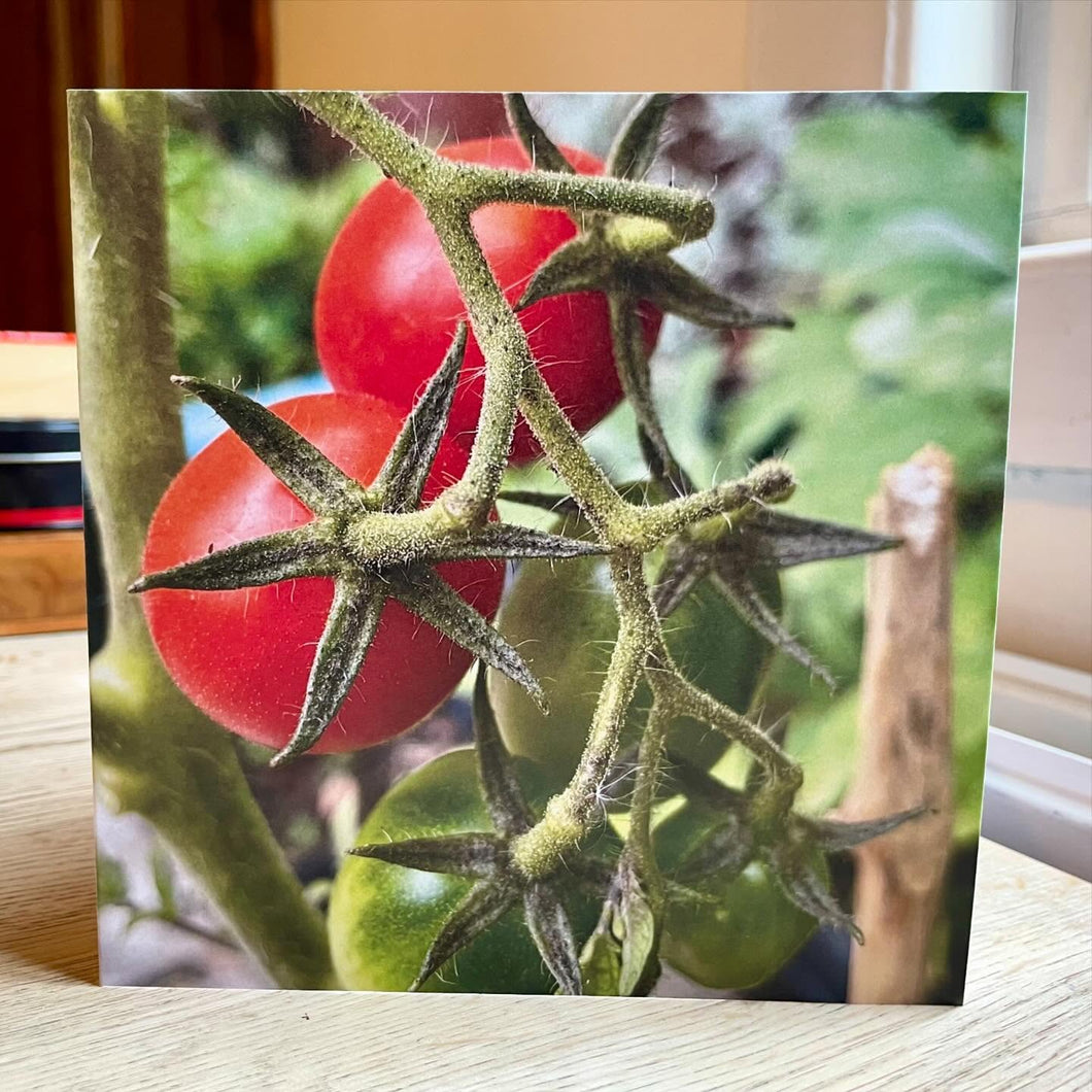 Greetings Card - Tomatoes - Photography Art - Mouse and Snail