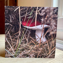 Load image into Gallery viewer, Greetings Card - Toadstool - Photography Art - Mouse and Snail

