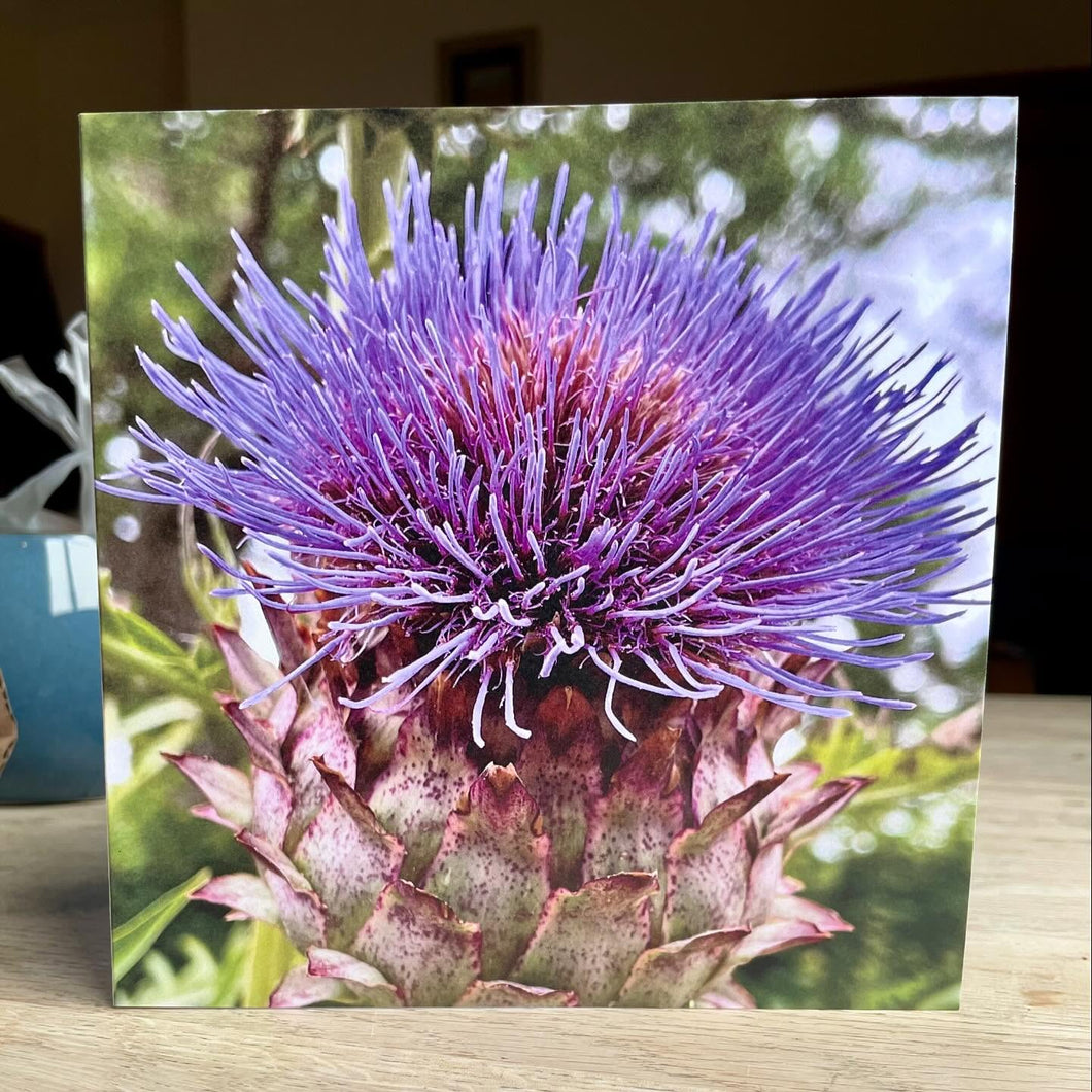 Greetings Card - Giant Thistle - Photography Art - Mouse and Snail
