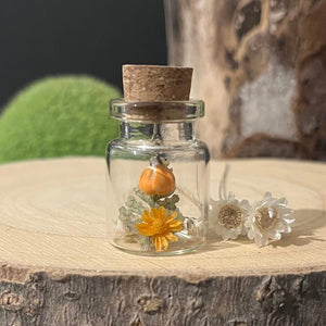 Mini Hanging Ceramic Pumpkin in Glass Jar - Strawberry Lane Studio