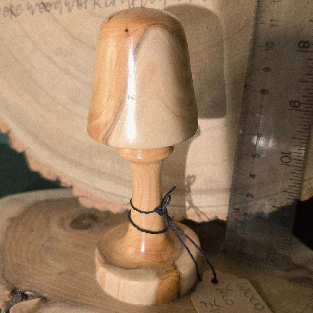 Wood Turned Toadstool / Mushroom / Fungi - Yew - What Wood Claire Do?