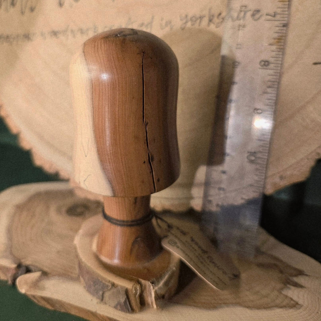 Wood Turned Toadstool / Mushroom / Fungi - Yew - What Wood Claire Do?