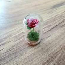 Load image into Gallery viewer, Hand Rolled Paper Rose in Mini Glass Cloche - Lots of colours - Flowers by Laurzy
