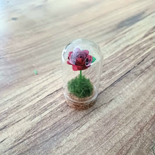 Load image into Gallery viewer, Hand Rolled Paper Rose in Mini Glass Cloche - Lots of colours - Flowers by Laurzy
