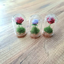 Load image into Gallery viewer, Hand Rolled Paper Rose in Mini Glass Cloche - Lots of colours - Flowers by Laurzy
