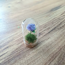 Load image into Gallery viewer, Hand Rolled Paper Rose in Mini Glass Cloche - Lots of colours - Flowers by Laurzy
