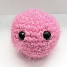 Load image into Gallery viewer, Fuzzy Buddies - Crochet Worry Pet - UKCA Tested - Lots of Colours - Robins and Rainbows
