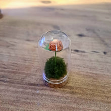 Load image into Gallery viewer, Hand Rolled Single Paper Rose in Mini Glass Cloche - Lots of colours - Flowers by Laurzy

