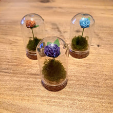 Load image into Gallery viewer, Hand Rolled Single Paper Rose in Mini Glass Cloche - Lots of colours - Flowers by Laurzy
