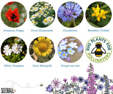 Load image into Gallery viewer, Make Your Own Seedball Kit - Wildflowers for Bees - Seedball
