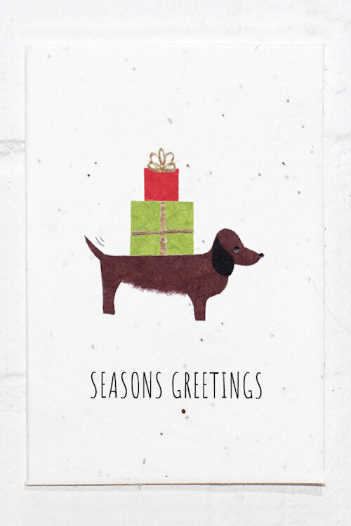 Wildflower Seed Plantable Greetings Card - Seasons Greetings - Eco Friendly Cards