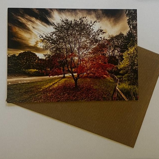 Golden Acre Park, Red Tree - Leeds Greetings Card - RJHeald Photography