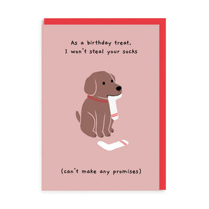 As A Birthday Treat I Won't Steal Your Socks - Dog Lovers - Greetings card - OHHDeer