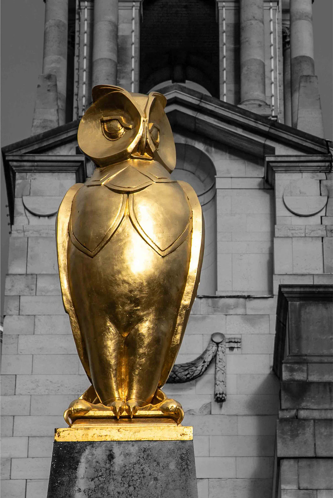 Leeds Owl, Civic Hall Art print - Photography Print - RJHeald Photography