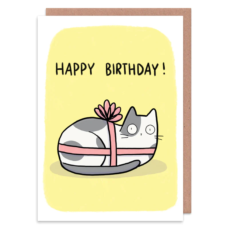 Cat Present Birthday Card- greetings card - Whale and Bird