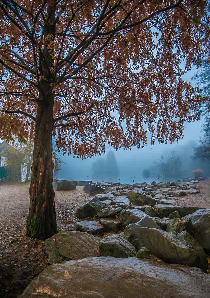 Golden Acre Park Art print - Autumn Lake - RJHeald Photography