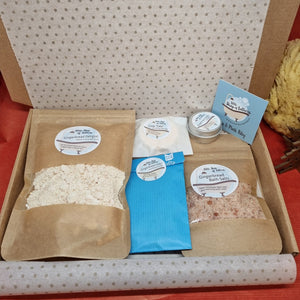 The Gingerbread Appreciation Society Bath and Body Gift Set - Little Shop of Lathers