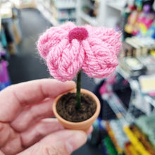 Load image into Gallery viewer, Mini Crochet Flower in Pot - Lots of colours - Best Efforts
