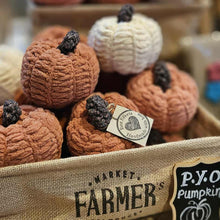 Load image into Gallery viewer, Crochet Pumpkin - Halloween Decoration - Best Efforts
