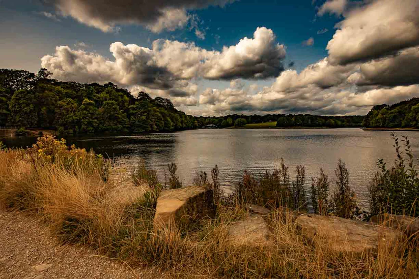 Roundhay Park, Lakeside Cafe View - Art Print - RJHeald Photography