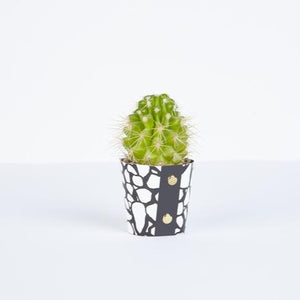 Plant Pot Covers - Studio Wald