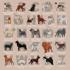 The Alphabet of Dogs - Dogs of the World 8" Square Print - MountainManDraws