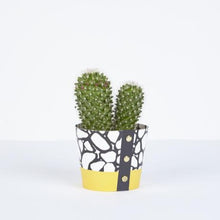 Load image into Gallery viewer, Plant Pot Covers - Studio Wald
