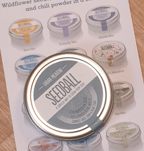 Seedball Tin - a simpler way to grow wildflowers from seeds