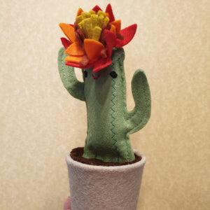 Felt Cactus - fun, funky and cute everlasting plants!