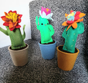 Felt Cactus - fun, funky and cute everlasting plants!