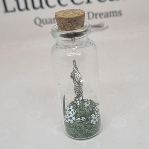 Football Bottle Keepsake - Luuce Creates