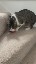 Load and play video in Gallery viewer, Catnip Kicker Toy - Cat Toys - Dawny&#39;s Sewing Room
