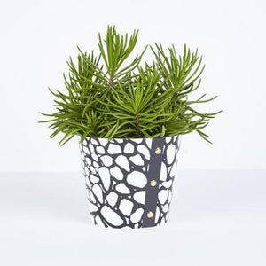 Plant Pot Covers - Studio Wald