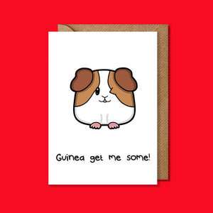 Guinea get me some Card - Guinea Pig cheeky Greetings Card - Innabox - Puns