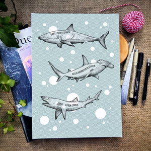 Sharks of the World - A4 Print - MountainManDraws