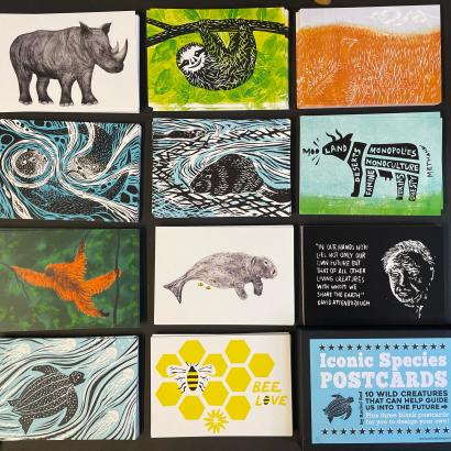 Postcard Set - Iconic Species - Wildlife Designs - Rach Red Designs