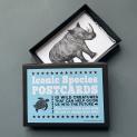 Load image into Gallery viewer, Postcard Set - Iconic Species - Wildlife Designs - Rach Red Designs
