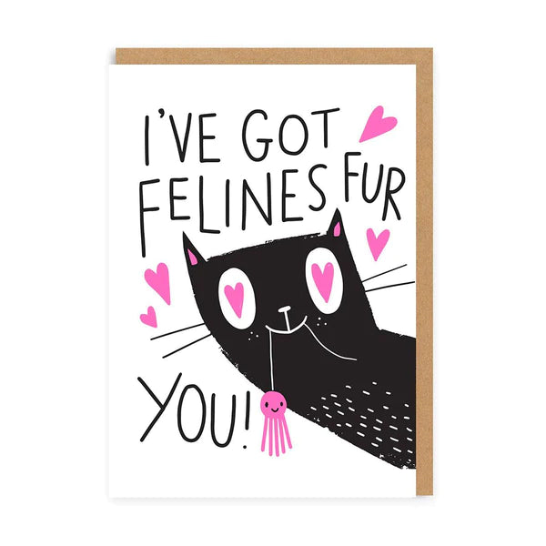 I've Got Felines Fur You! -  Funny Valentines Card -OHHDeer