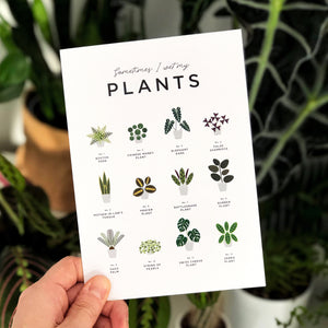 Sometimes I wet my Plants - greetings card with cutout houseplant care guide - Everlong Print Co