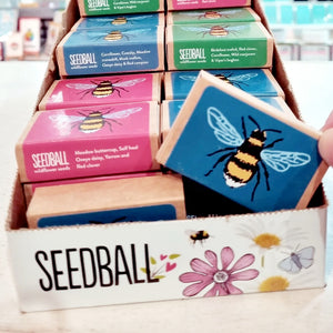Seedball - Bee Friendly Wildflower Seed Box - sow wildflowers for the Bees!