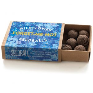 Seedball - Wildflower Seed Box - Cornflower / Poppy / Forget-me-not - A simple way to grow wildflowers from seed!
