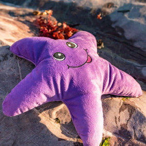 Eco friendly Dog Toy - Starfish - 100% Recycled Materials Dog Toy - Sustainapaws