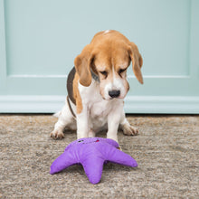 Load image into Gallery viewer, Eco friendly Dog Toy - Starfish - 100% Recycled Materials Dog Toy - Sustainapaws
