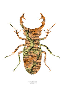 Vintage Map Artwork Framed Print - Beetle - Available as Leeds, Yorkshire or Personalised Designs