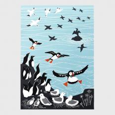 Greetings Card - Sea Birds - Rach Red Designs