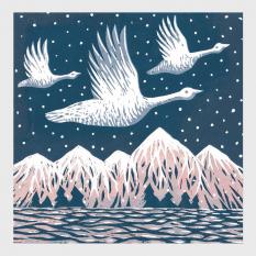 Snow Geese Greetings Card - Rach Red Designs