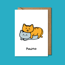 Pawno Card - Cheeky cat Greetings Card - Innabox - Puns