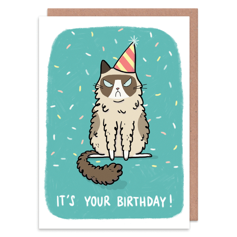 Grumpy cat birthday - greetings card - Whale and Bird